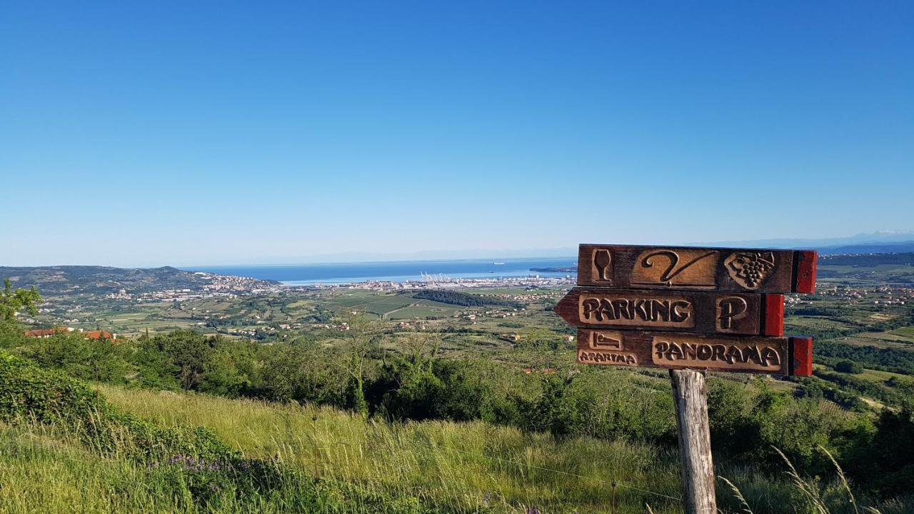 Apartma Panorama Marezige Luaran gambar